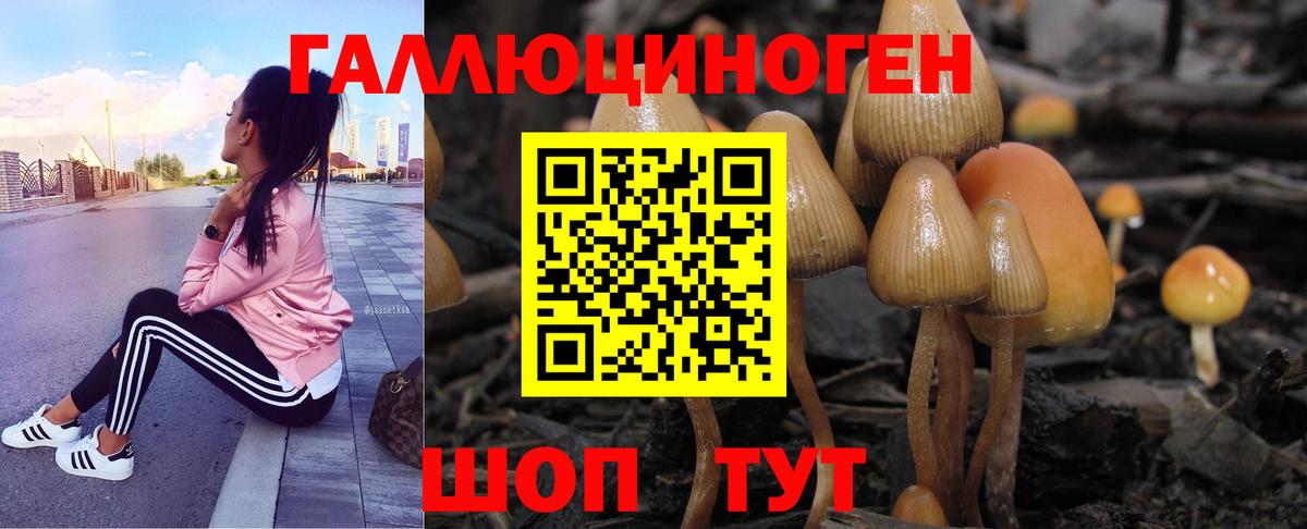 Киселёвск  Галлюциногенные грибы MAGIC MUSHROOMS  Вход с VPN 