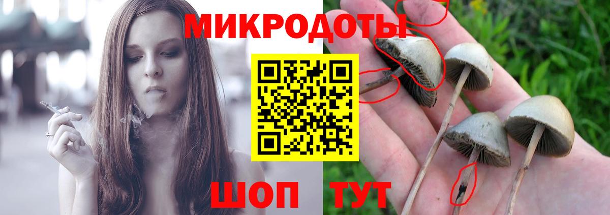 Псилоцибиновые грибы мухоморы Киселёвск
