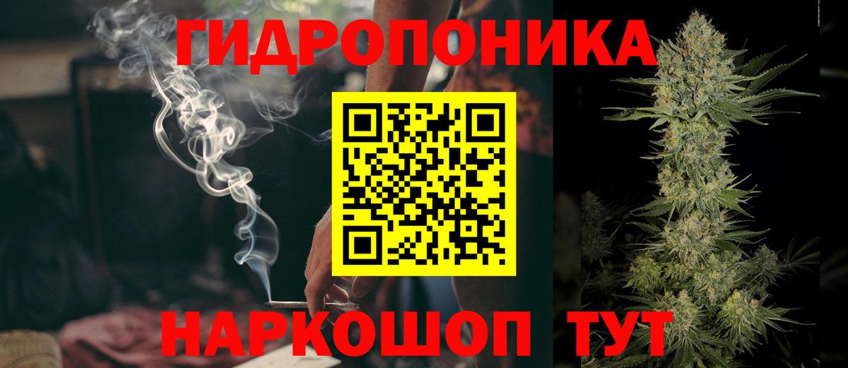 Киселёвск  Бошки марихуана White Widow  Бошки марихуана гибрид  МАРИХУАНА White Widow  Вход с VPN 